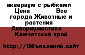 аквариум с рыбками › Цена ­ 15 000 - Все города Животные и растения » Аквариумистика   . Камчатский край